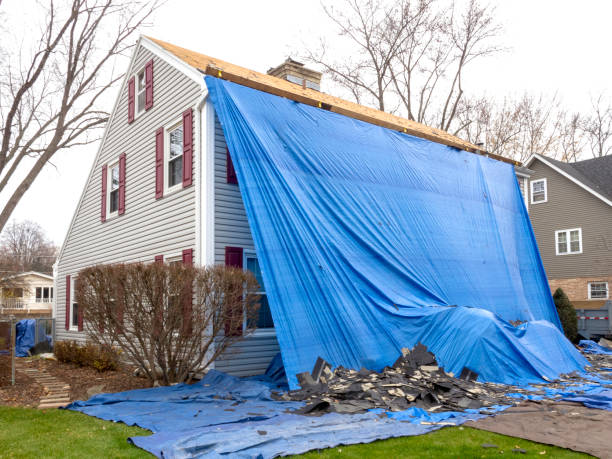 Best Custom Siding Design  in Cooper City, FL